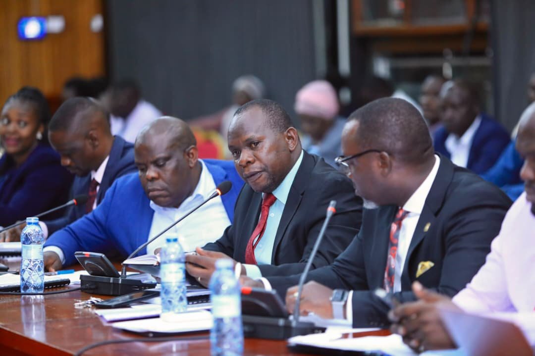 Parliament committee meeting on IRA leadership
