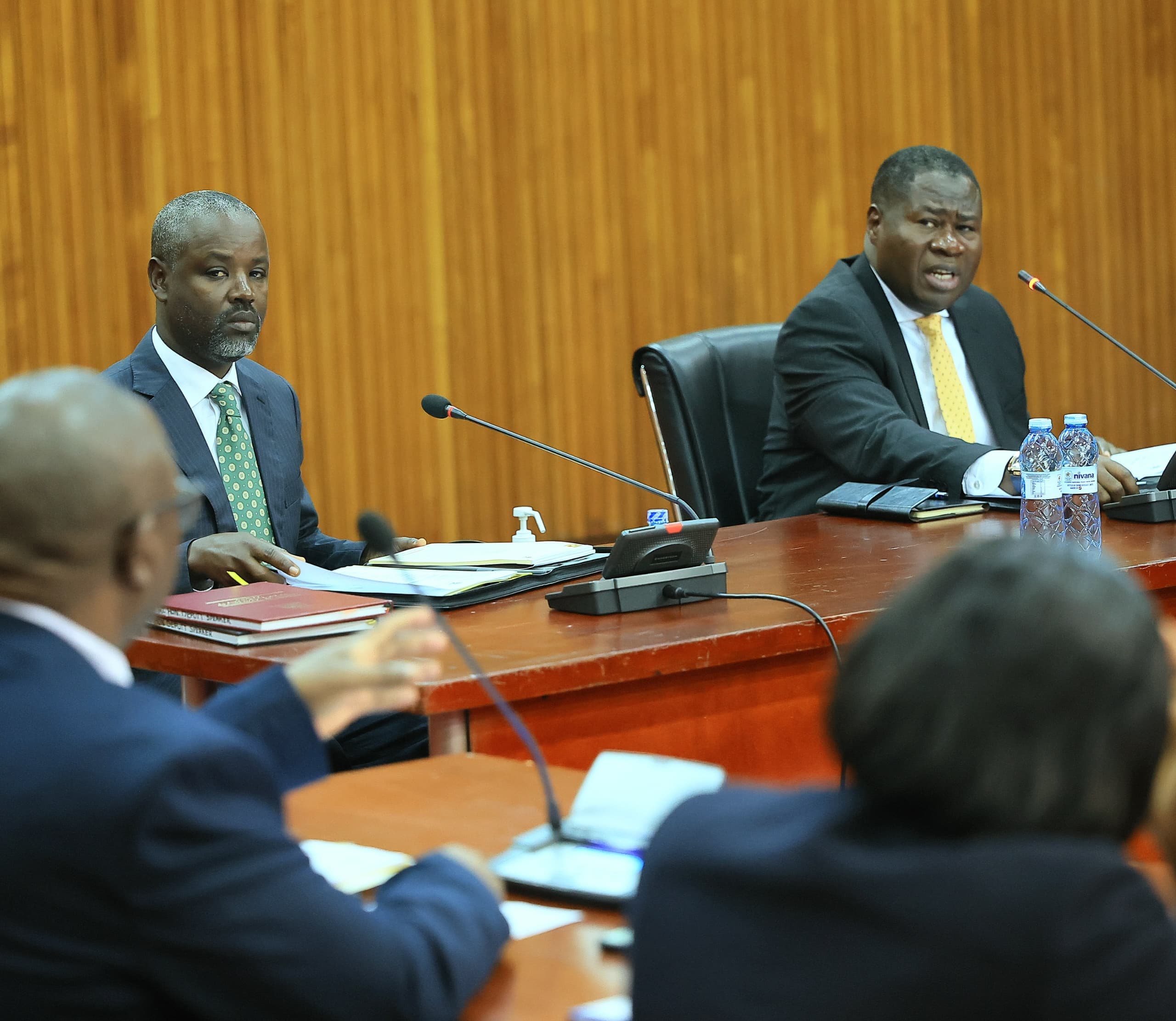 Paliament Vetting